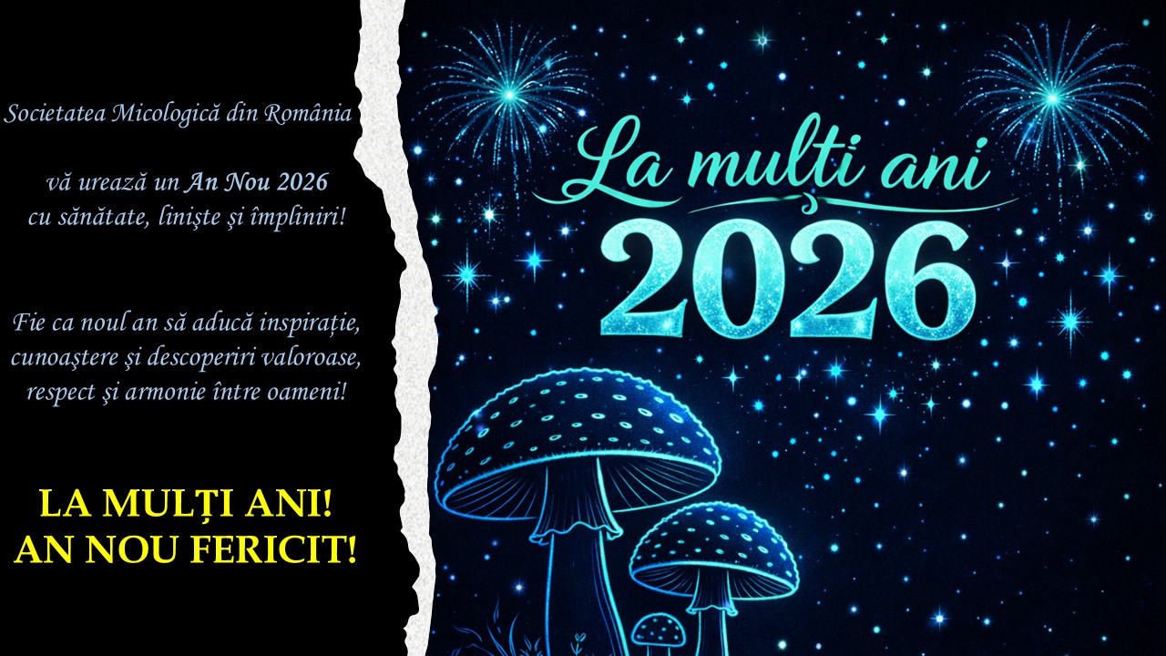 La mulți ani, 2026!